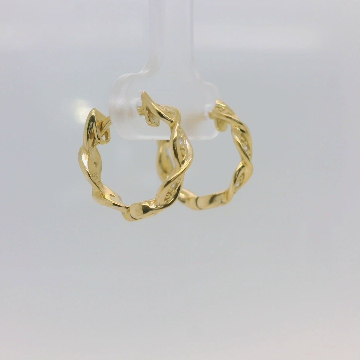 Circle of Life Earrings