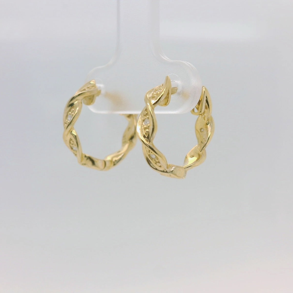 Circle of Life Earrings