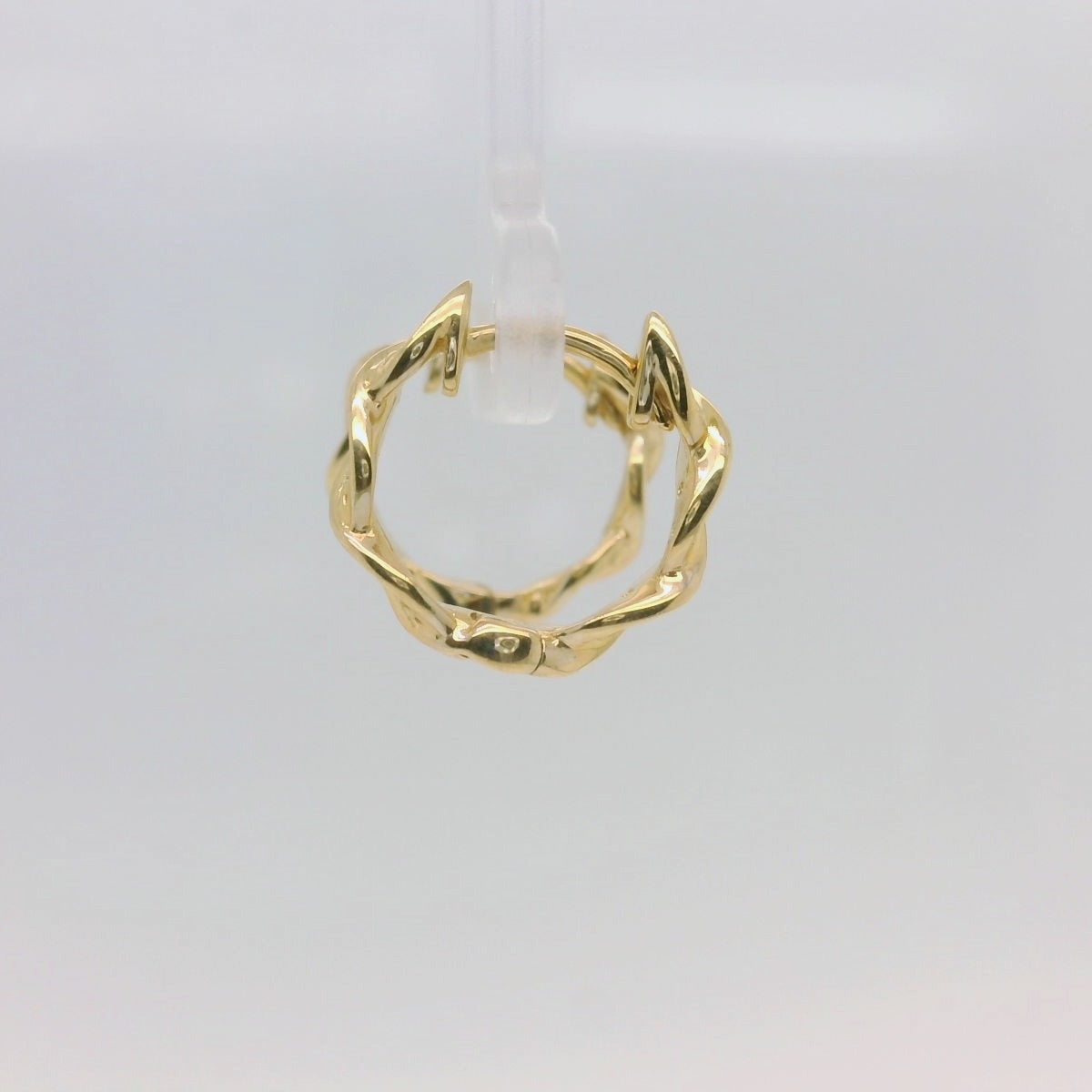 Circle of Life Earrings