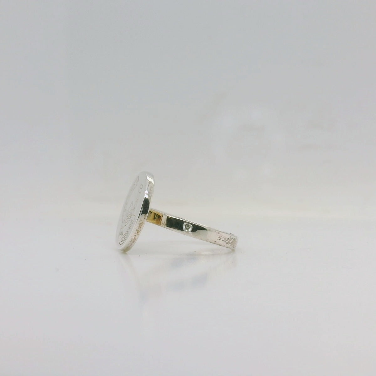 Horse shoe Disc Ring