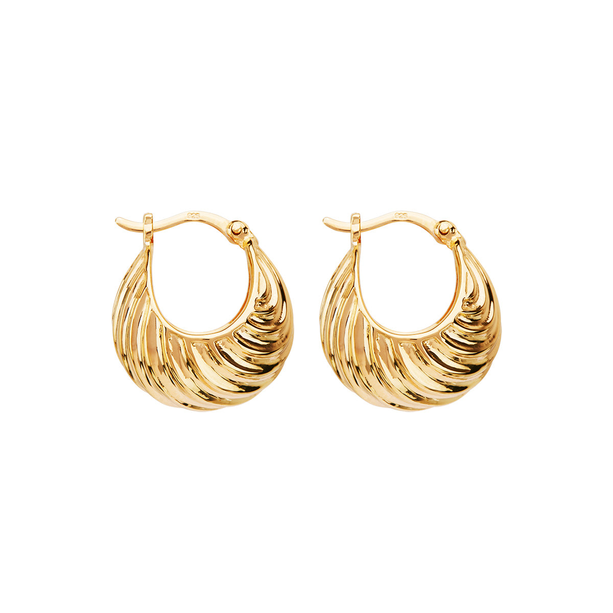 Cloud Catcher Hoop Earrings