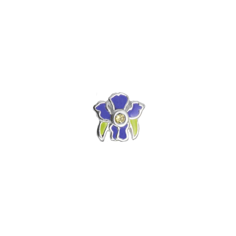 Iris - February Birthflower