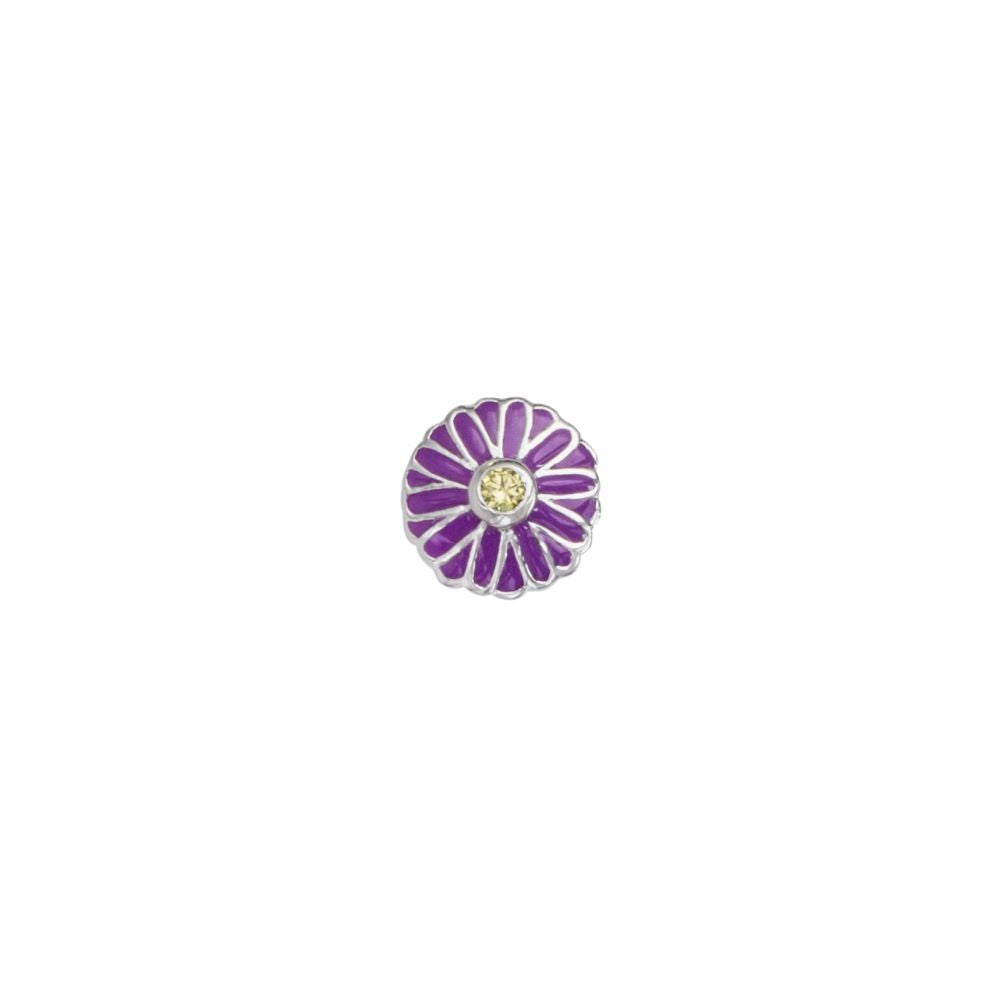 Aster - September Birthflower