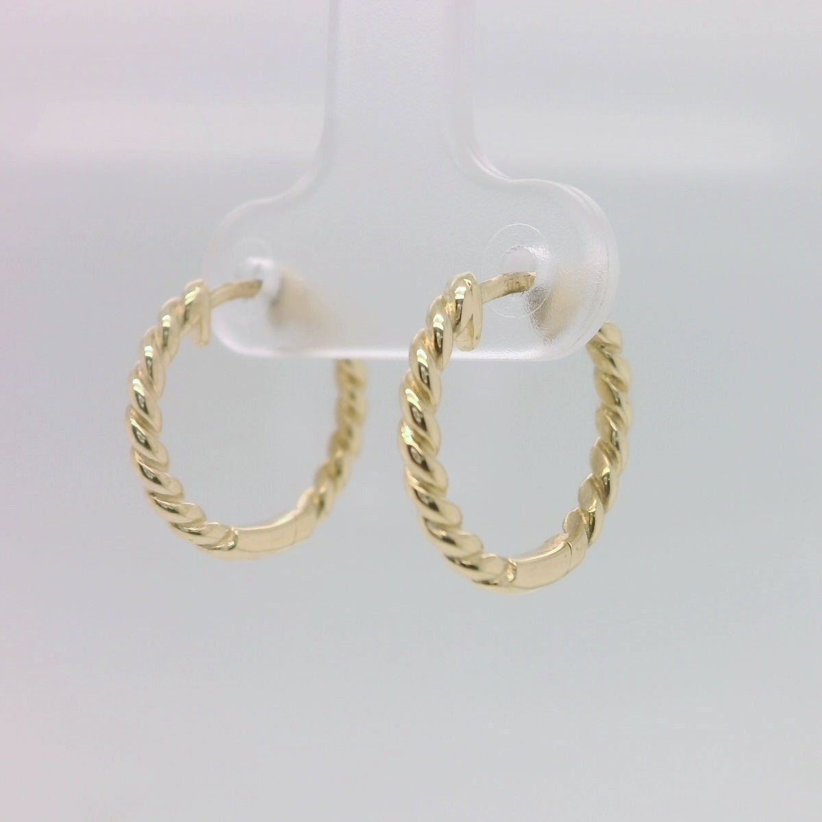 Elegant Gold Hoop Earrings