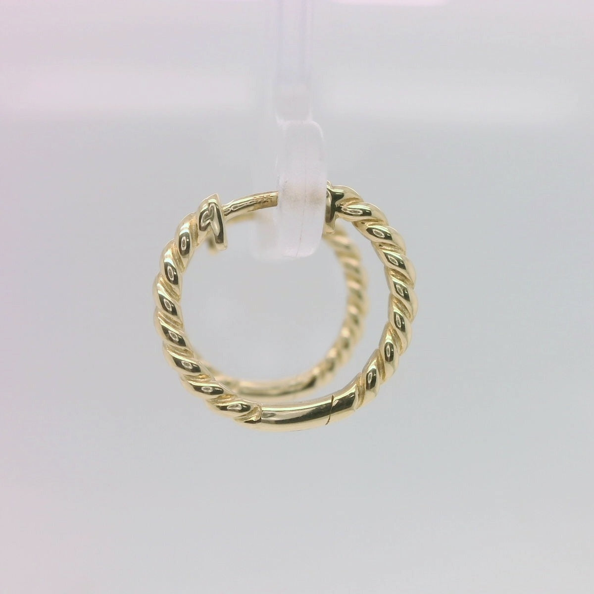 Elegant Gold Hoop Earrings