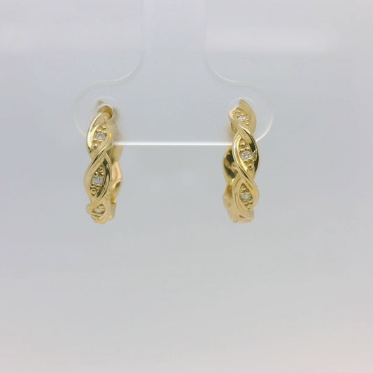 Circle of Life Earrings