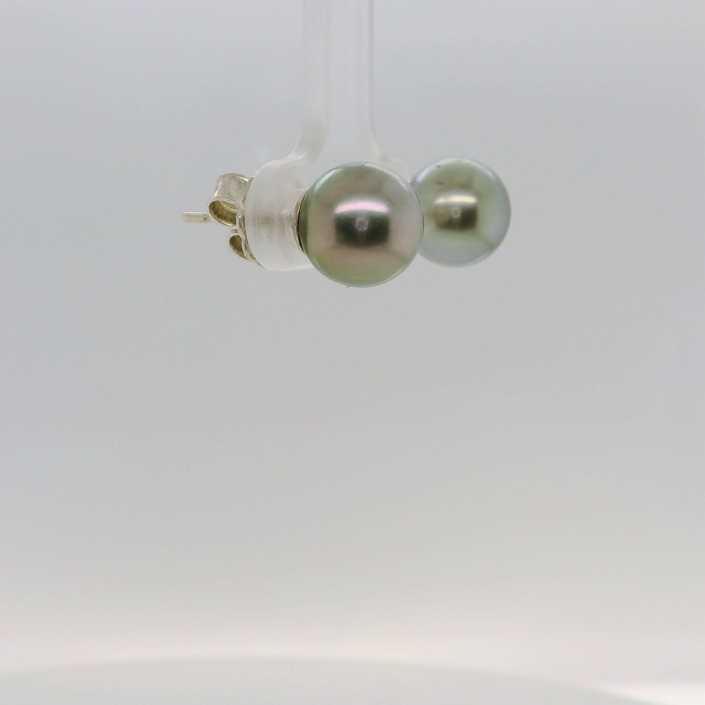Tahitian Black Pearl Studs
