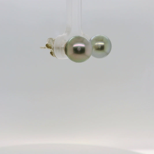 Tahitian Black Pearl Studs