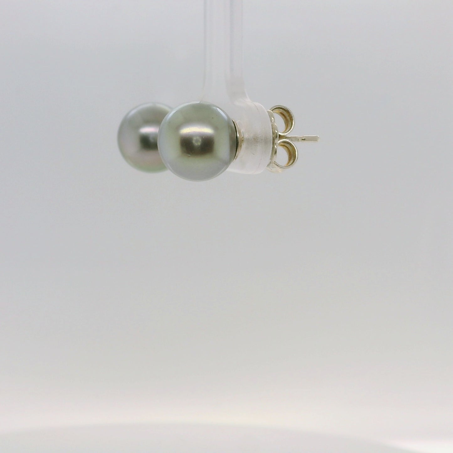 Tahitian Black Pearl Studs