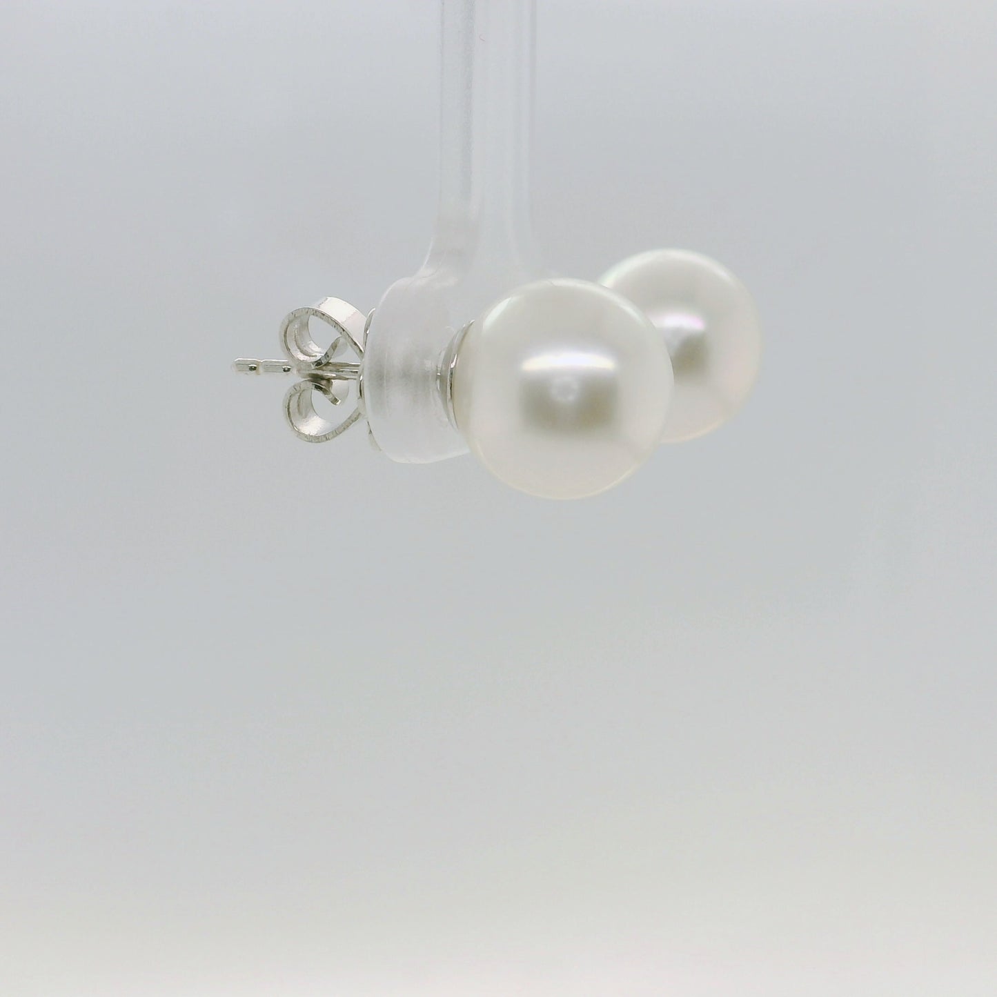 South Sea Pearl Studs
