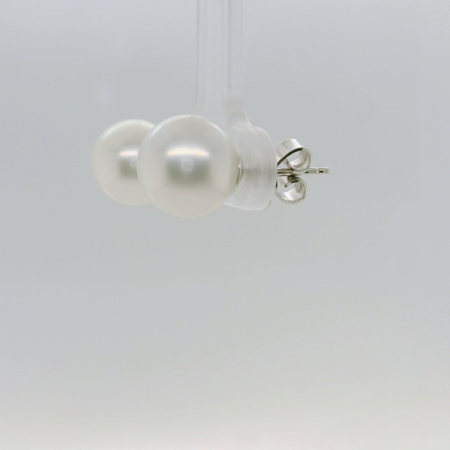 South Sea Pearl Studs