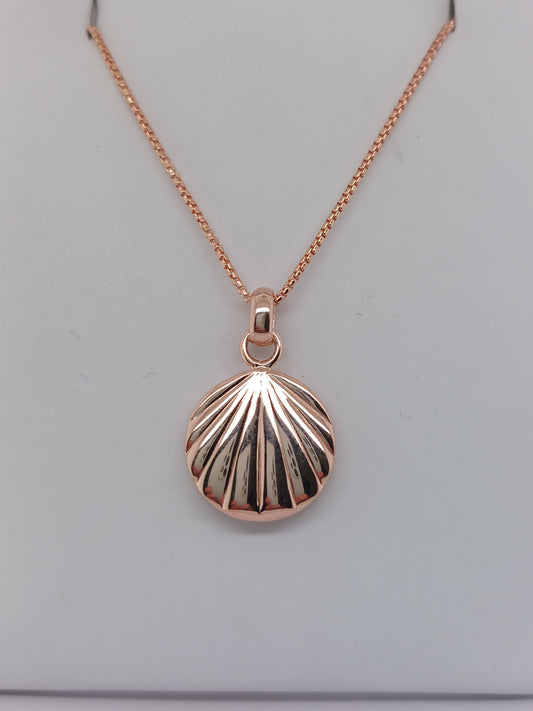 Rose Seashell Necklace