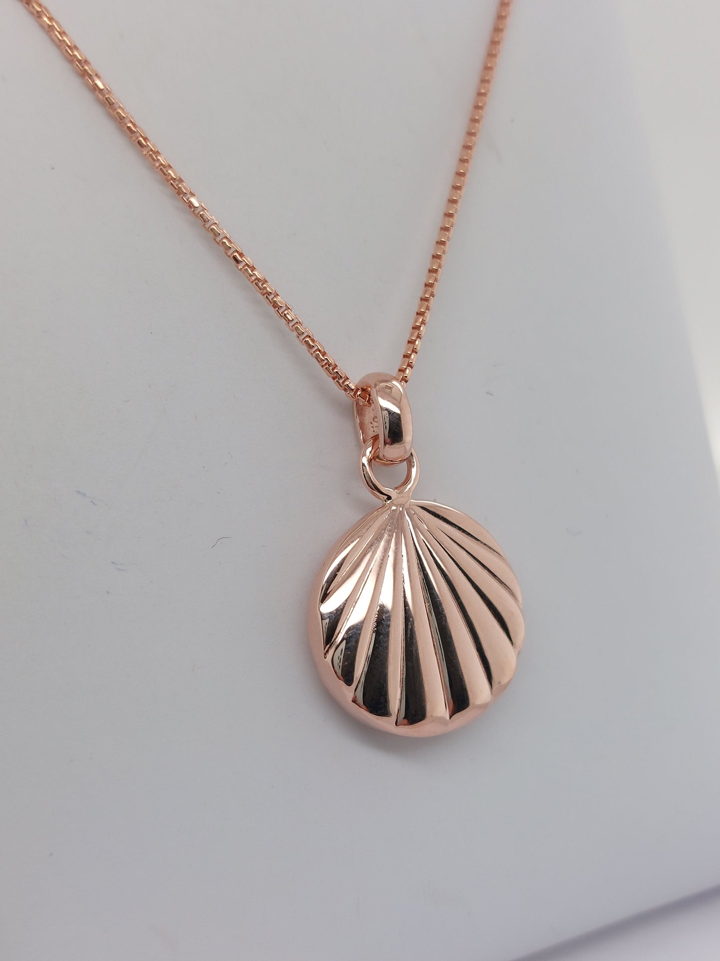 Rose Seashell Necklace