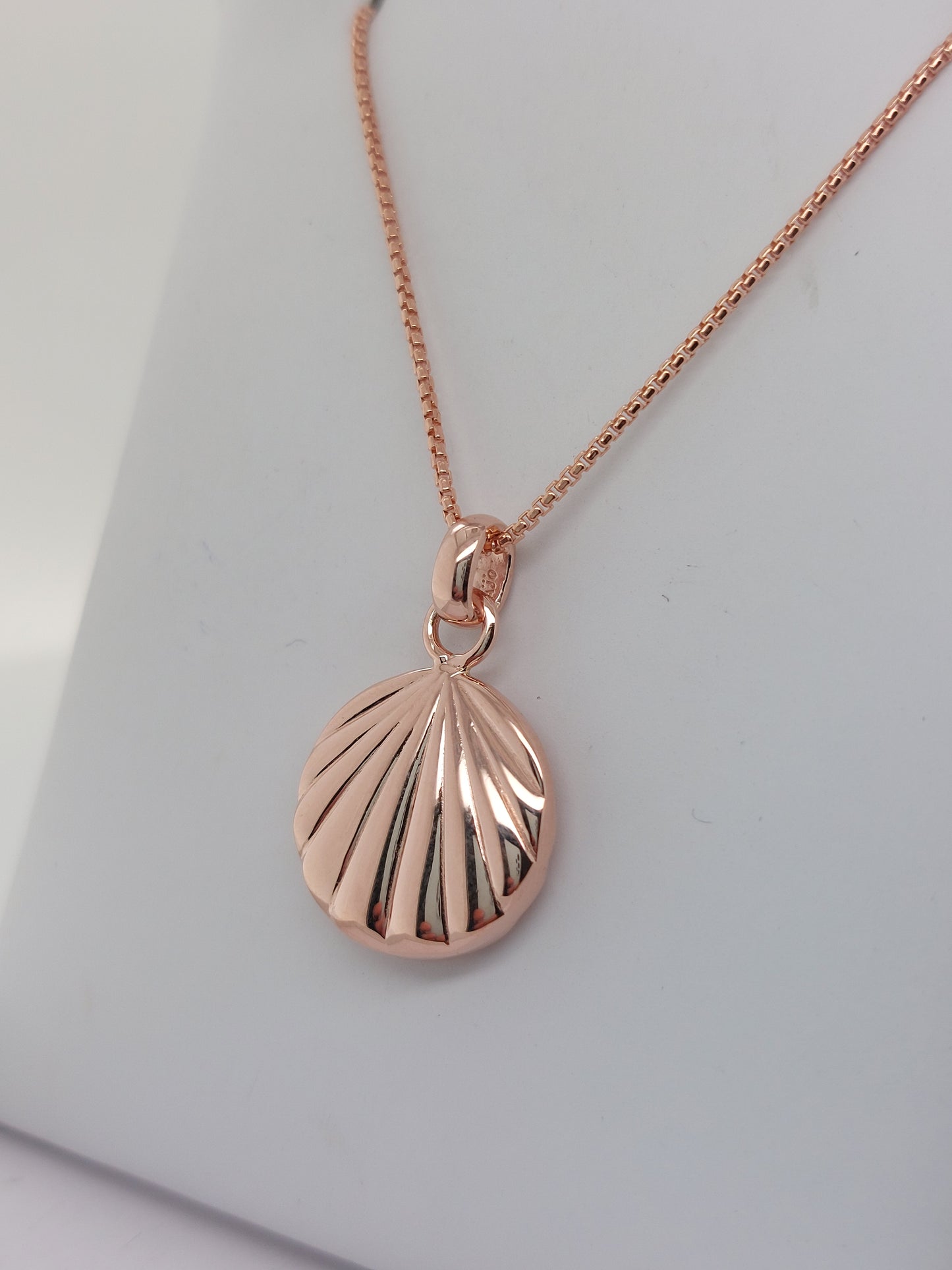 Rose Seashell Necklace