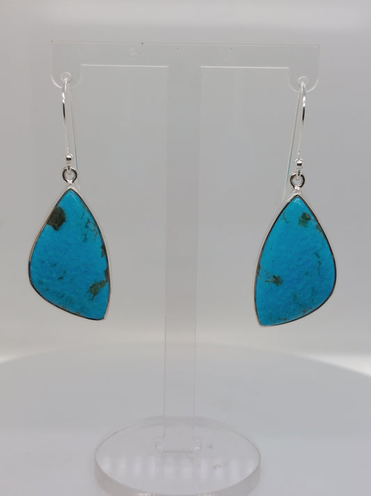 Arizona Turquoise Earring