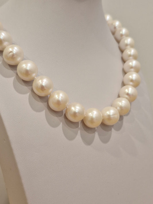 Freshwater Pearl Strand 11.5-12.5mm