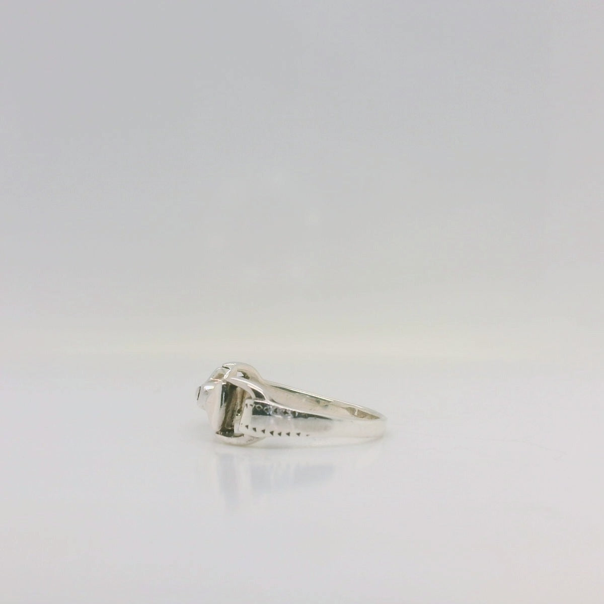 Horse Bit Ring