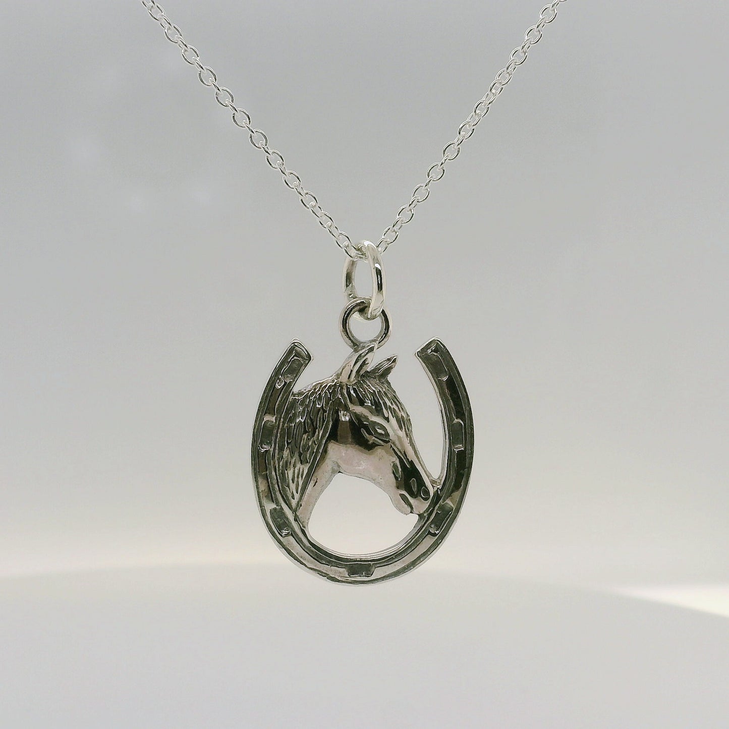 Horseshoe - Horsehead Pendant