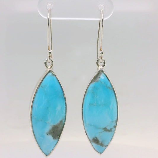 Turquoise Drop Earring