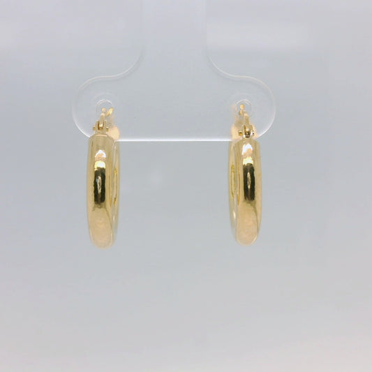 Gold Hollow Tube Hoop