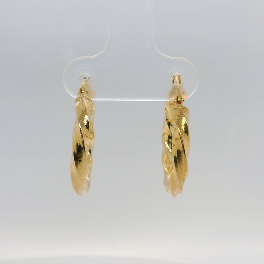 Fancy Twisted Earrings