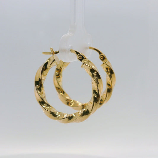 Fancy Twisted Earrings