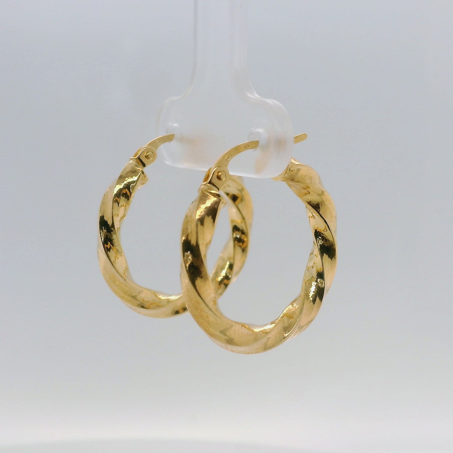 Fancy Twisted Earrings