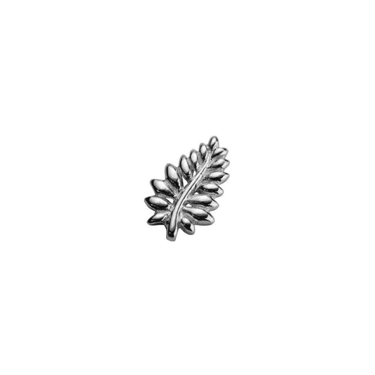 NZ Fern - Loyal