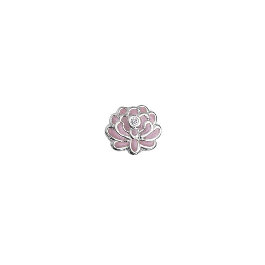 Chrysanthemum - November Birthflower